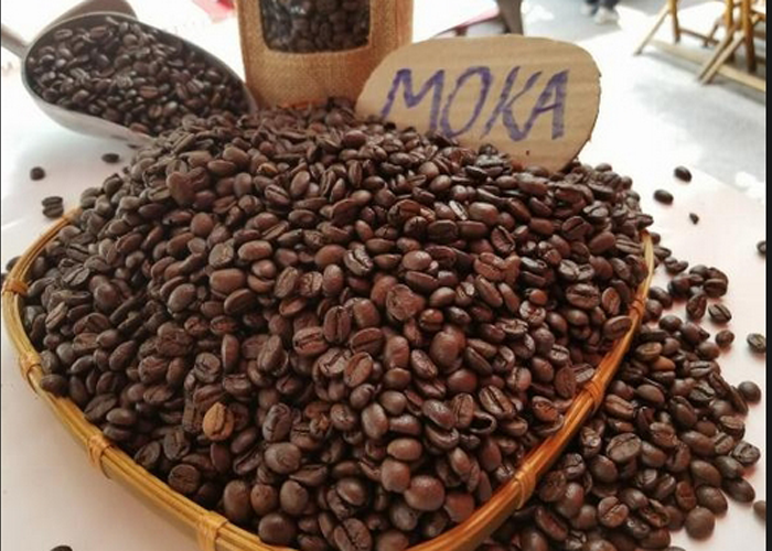 cà phe moka robusta